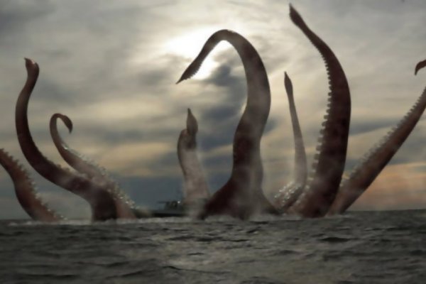 Kraken магазин
