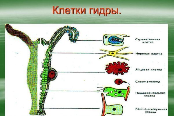 Кракен onoin