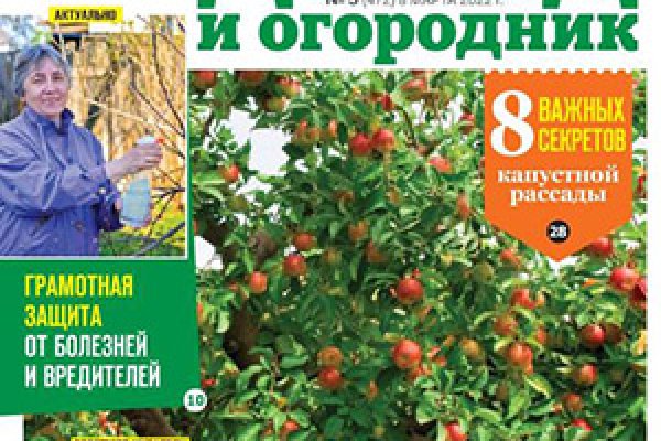 Кракен наркоторговец